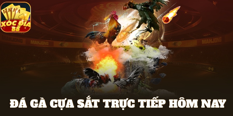 Theo Dõi Đá Gà Cựa Sắt Trực Tiếp Hôm Nay Chất Lượng Đỉnh Cao 1 đá gà cựa sắt trực tiếp hôm nay